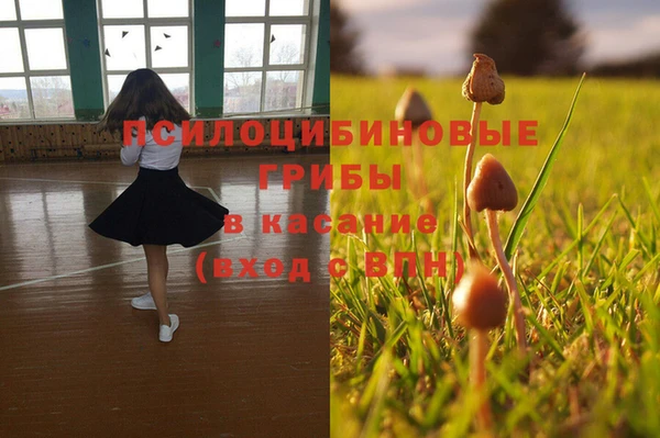 МДМА Богородицк