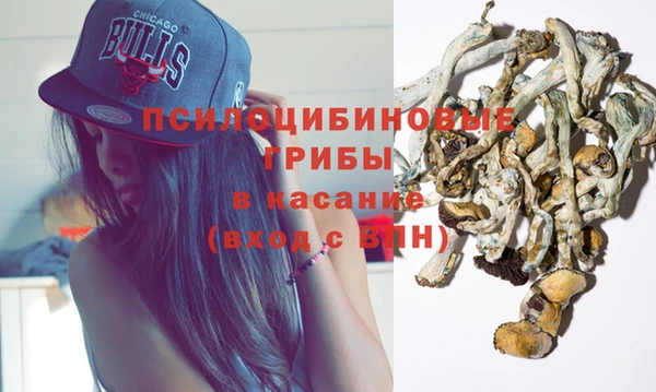 соль курить ск Белокуриха