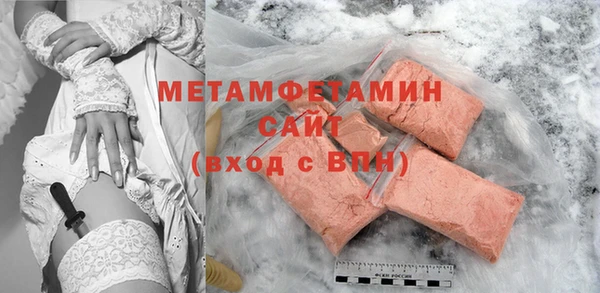 прущие грибы Богданович