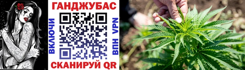 Марихуана сатива  Володарск 